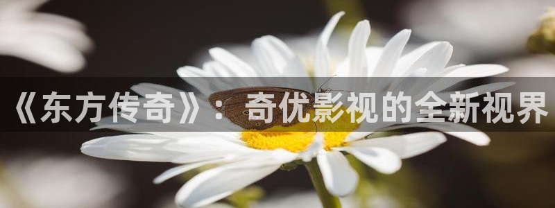 福利视频光棍影院：《东方传奇》：奇优影视的全新视界