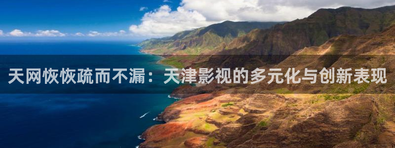 光棍看电影：天网恢恢疏而不漏：天津影视的多元化与创新表现