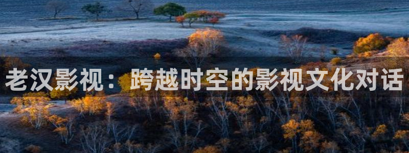 光棍影院私人影院：老汉影视：跨越时空的影视文化对话