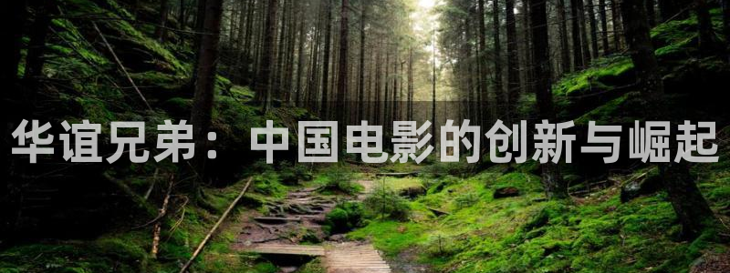 yyy111111光棍影院：华谊兄弟：中国电影的创新与崛起