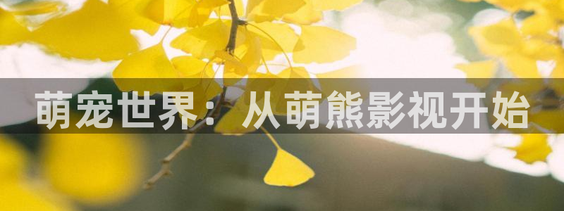 光棍影院手机免费看：萌宠世界：从萌熊影视开始