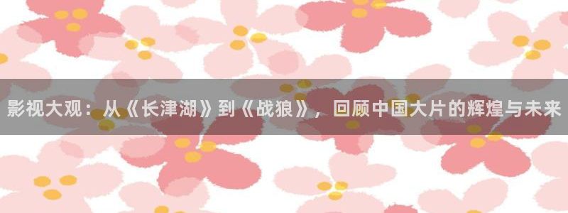 日本光棍影院妈妈的朋友：影视大观：从《长津湖》到《战狼》，回顾中国大片的辉煌与未来