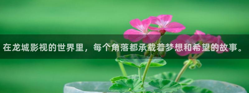光棍影院111yyy：在龙城影视的世界里，每个角落都承载着梦想和希望的故事。